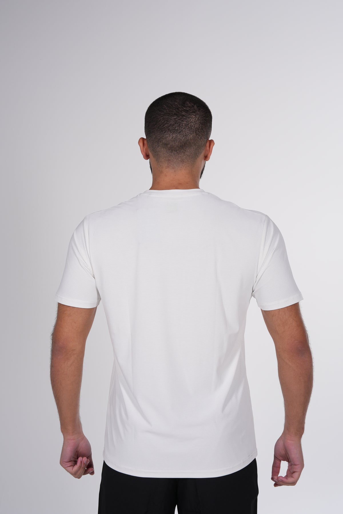 Wings Apex Tee 2027
